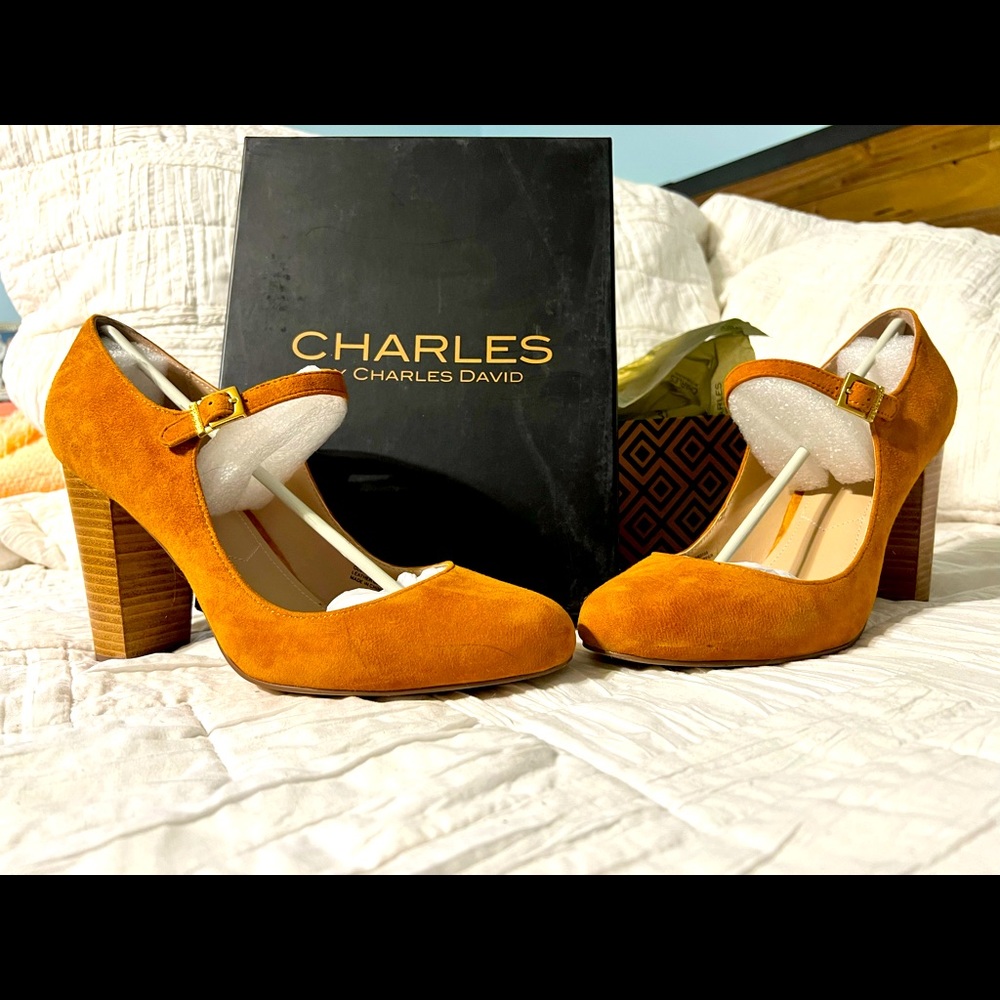 Charles David Heels - Perfect for Fall!